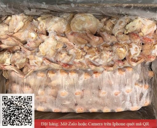 cánh gà xếp lớp adoro 01