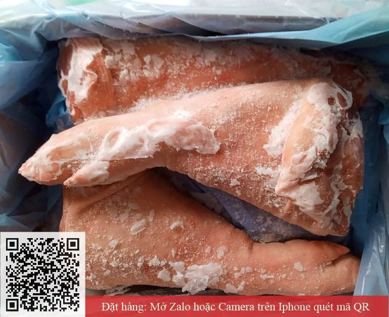 Trang chủ 21 chân giò heo trước nguyên cái west đức 02