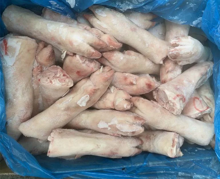 Trang chủ 12 dựng heo sau becambell nhập khẩu úc 01