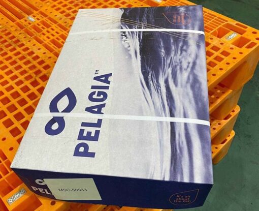 cá ngừ đông lạnh 03
