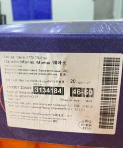 cá ngừ đông lạnh 04