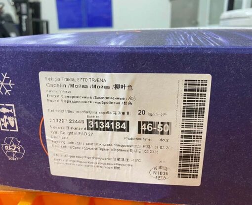 cá ngừ đông lạnh 04