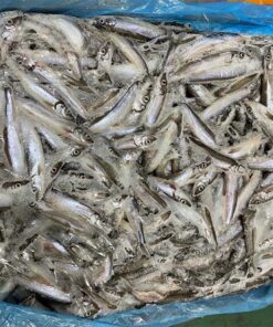 cá trứng đông lạnh Nauy 01