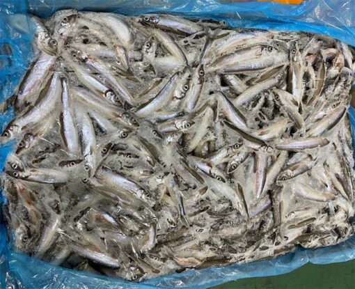 cá trứng đông lạnh Nauy 01
