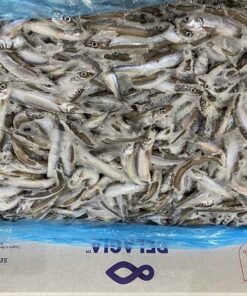 cá trứng đông lạnh Nauy 03