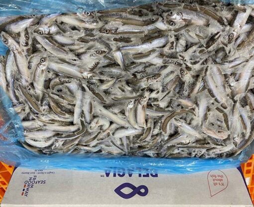 cá trứng đông lạnh Nauy 03