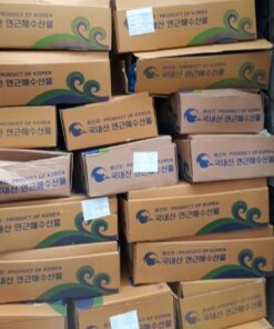 mực nang đông lạnh nhập khẩu Ấn Độ 03