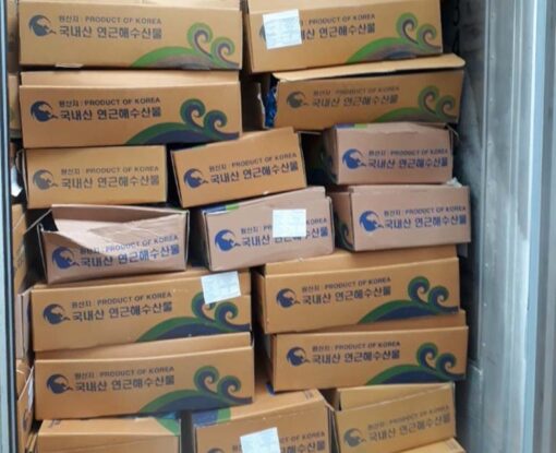 mực nang đông lạnh nhập khẩu Ấn Độ 03