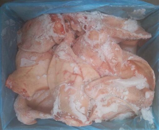 tai heo đông lạnh nhập khẩu bỉ 02