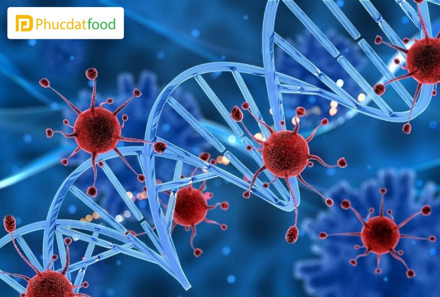 Thịt Heo Đông Lạnh Có Tốt Không ? | Phúc Đạt Food 17 Tăng khả năng bị ung thư khi ăn thịt heo đông lạnh lâu ngày